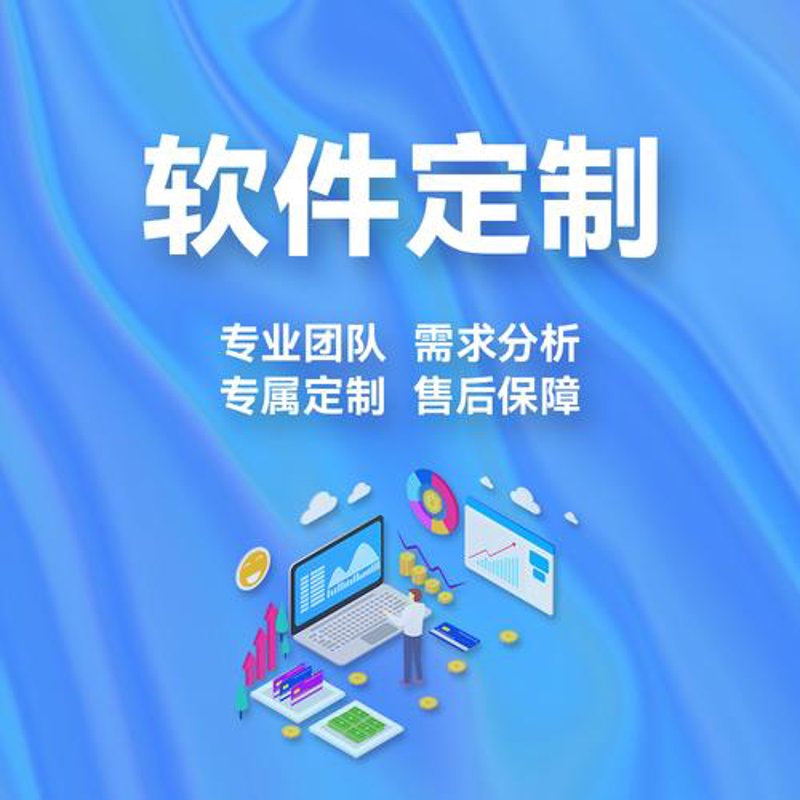 定制软件系统：提升企业竞争力的秘密武器